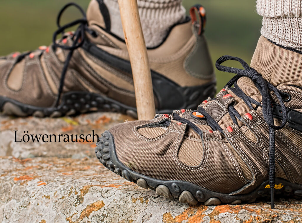 Wo man Sockländer aus der Höhle des Löwen kaufen kann