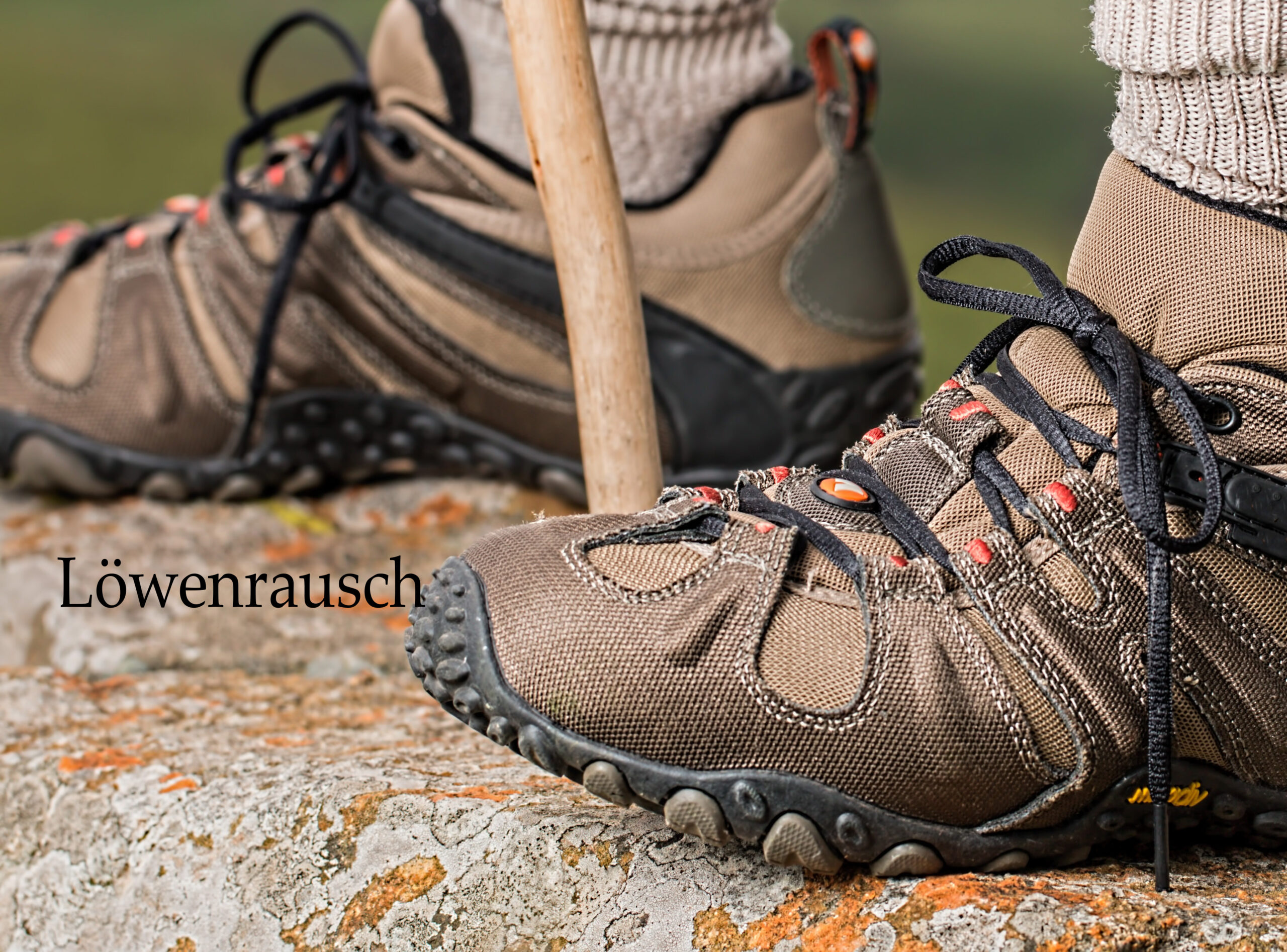 Wo man Sockländer aus der Höhle des Löwen kaufen kann